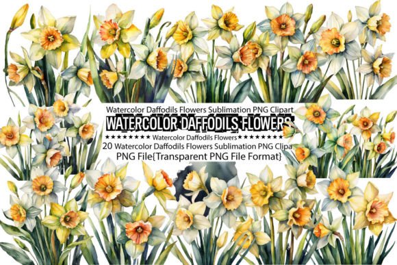 Download Watercolor Daffodils Flowers Sublimation - Flowers Collection