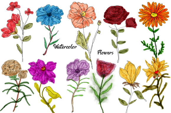 Download Watercolor Flowers | Sublimation | PNG - Flowers Collection