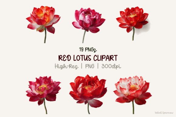 Download Red Lotus Clipart 19 Png - Lotus clipart Collection