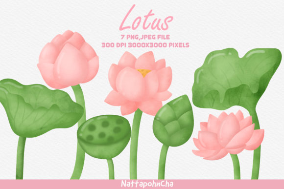 Download Watercolor Lotus Clipart Bundle. - Lotus clipart Collection