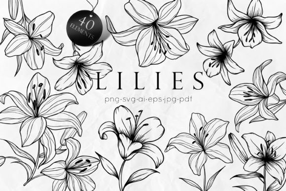 Download Lily Flowers Line Art SVG - Flowers Collection