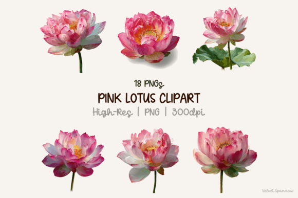Download Pink Lotus Clipart 18 Png - Lotus clipart Collection