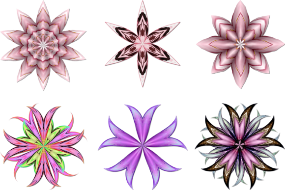 Download Digital Flowers - Flowers Collection