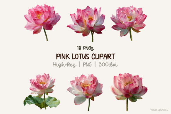 Download Pink Lotus Clipart - Lotus clipart Collection