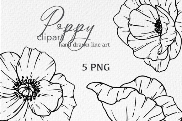 Download Poppy Flowers LINE ART. Poppy CLIPART - Flowers Collection