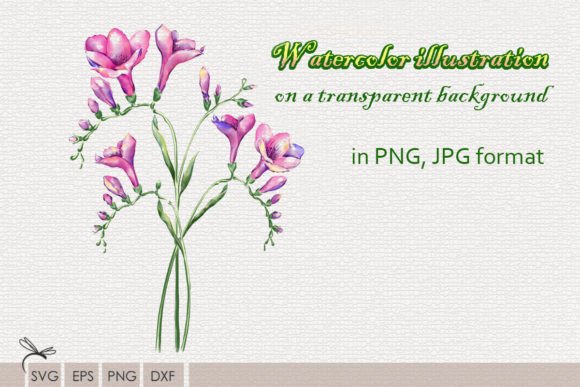 Download Watercolor Illustrations Wildflowers - Flowers Collection