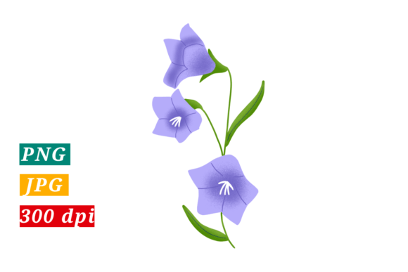 Download Purple Flowers. Transparent Png. - Flowers Collection