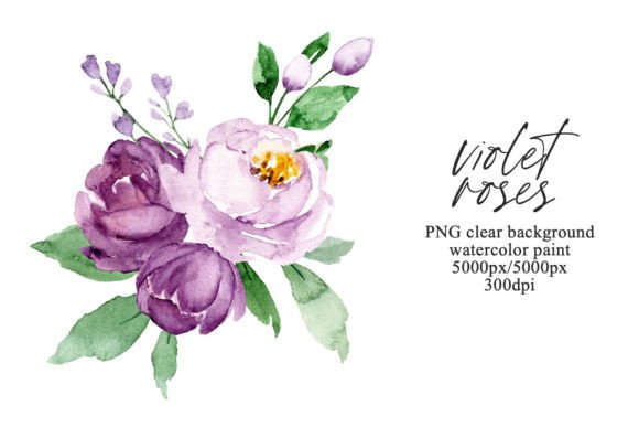 Download Watercolor Violet Flowers Roses, PNG. - Flowers Collection