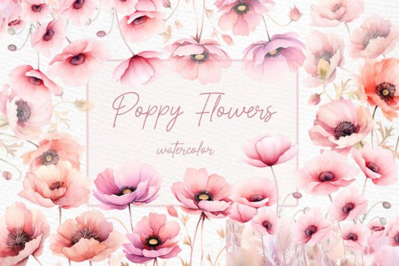 Download Blush Pink Flowers Clipart Poppy Flowers - Flowers Collection
