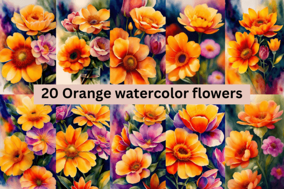 Download #3 Orange Watercolor Flowers Bundle - Flowers Collection