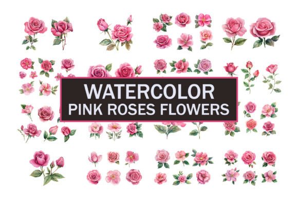 Download Hand Painted Roses Flowers - Flowers Collection
