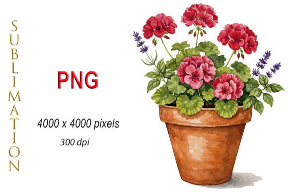 Download Watercolor Geranium, Potted Flowers PNG - Flowers Collection