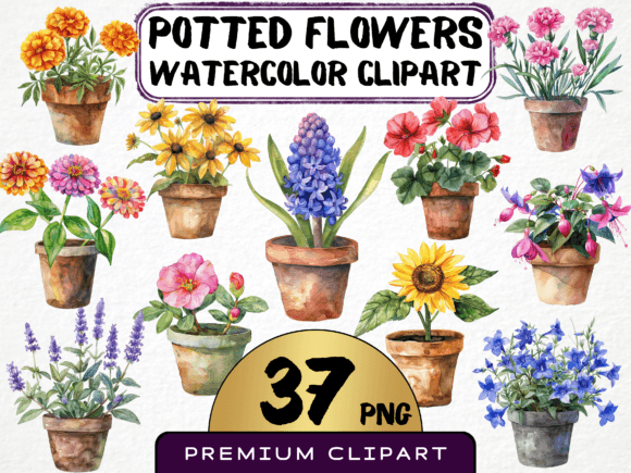 Download Potted Flowers Clipart Bundle 37 PNG - Flowers Collection