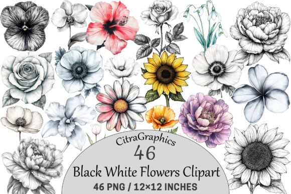 Download Watercolor Black White Flowers Clipart. - Flowers Collection