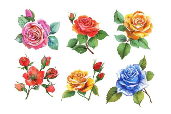 Download Hand Painted Flowers - Flowers Collection
