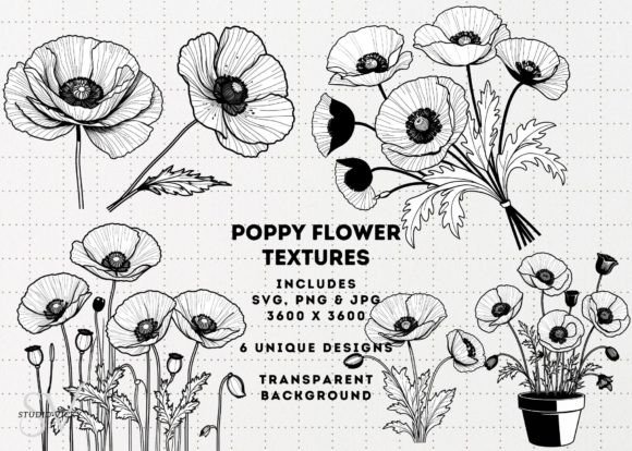 Download Poppy Flowers Clipart - SVG, PNG, JPG - Flowers Collection