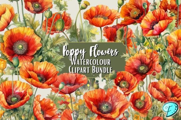 Download Poppy Flowers Watercolour Clipart Bundle - Flowers Collection