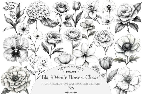 Download Watercolor Black White Flowers Clipart - Flowers Collection