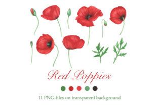 Download Red Poppies Flowers Clipart - Flowers Collection