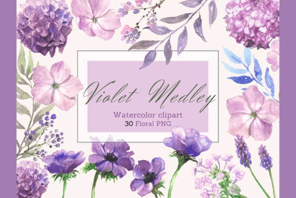 Download Watercolor Violet Purple Flowers Clipart - Flowers Collection