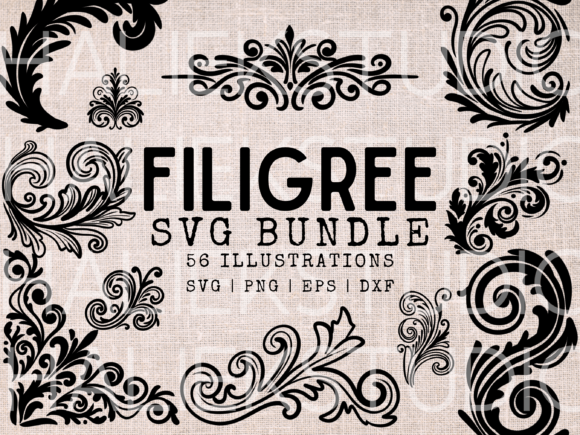 Download Filigree SVG Bundle - Ornamental Scrolls - Ornamental Collection