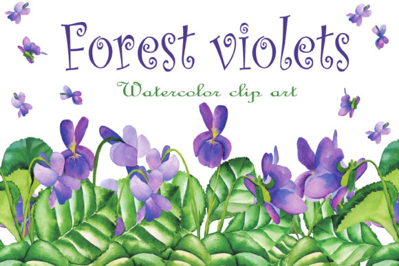 Download Violet Wild Flowers Watercolor Clipart - Flowers Collection