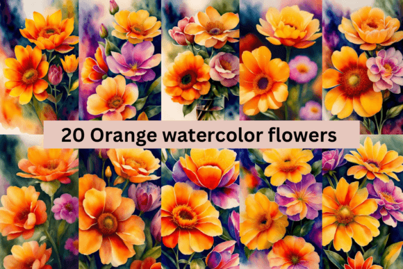 Download #2 Orange Watercolor Flowers Bundle - Flowers Collection