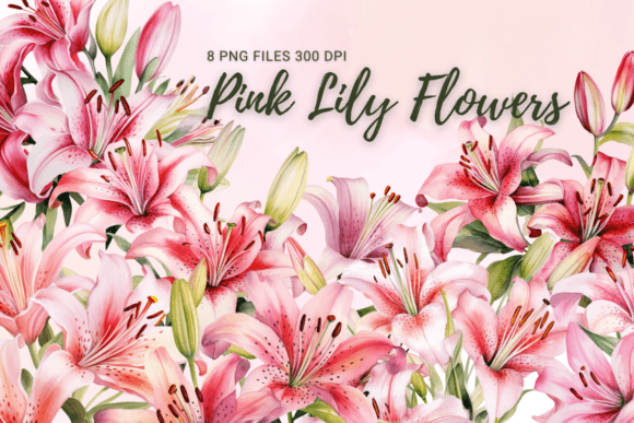 Download Pink Lily Flowers Watercolor Clipart - Flowers Collection
