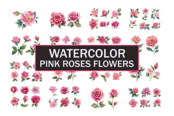 Download Hand Painted Roses Flowers - Flowers Collection