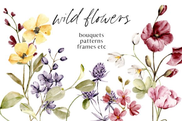 Download Wild Flowers, Poppies Watercolor Set - Flowers Collection