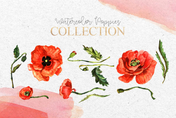 Download Red Poppies Flowers Clipart Watercolor - Flowers Collection