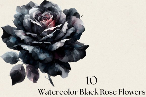 Download Watercolor Black Rose Flowers PNG Bundle - Flowers Collection
