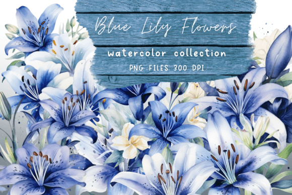 Download Watercolor Lily Blue Flowers - Flowers Collection